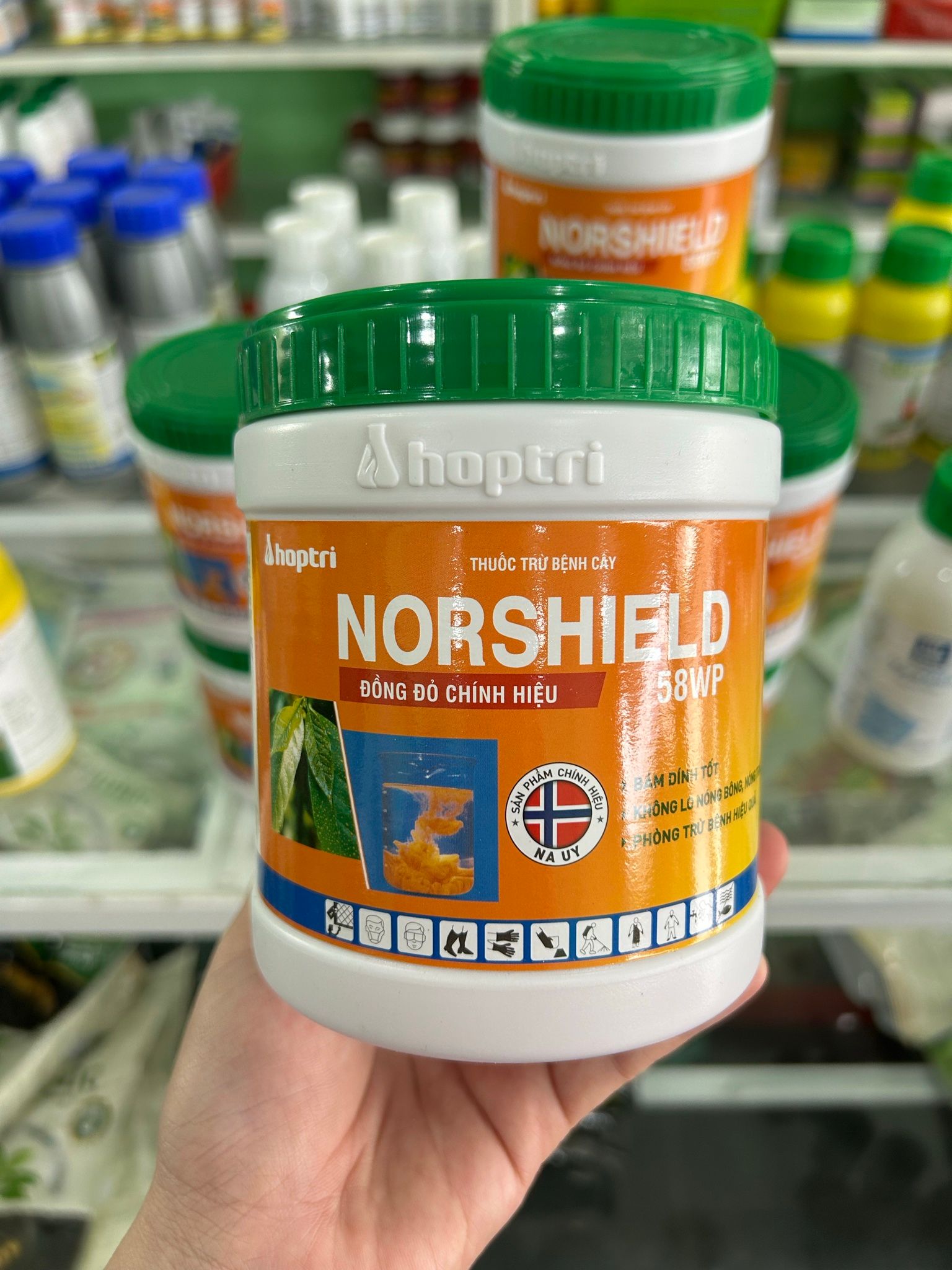 Norshield 58wp (hủ 400g) hợp trí