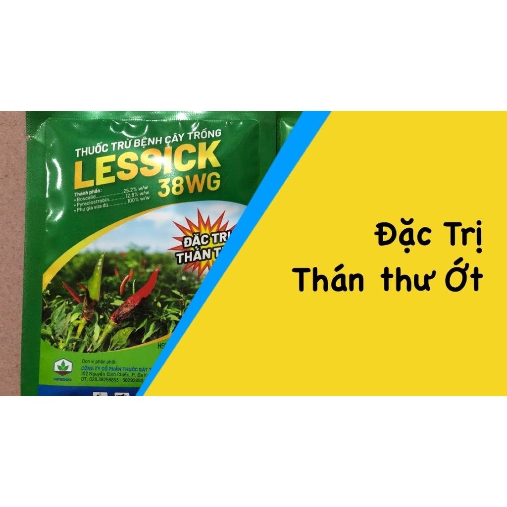 LESSICK 38WG - Chuyên thán thư, thối trái Ớt - TRỪ BỆNH CÂY ỚT - THỐI TRÁI ỚT