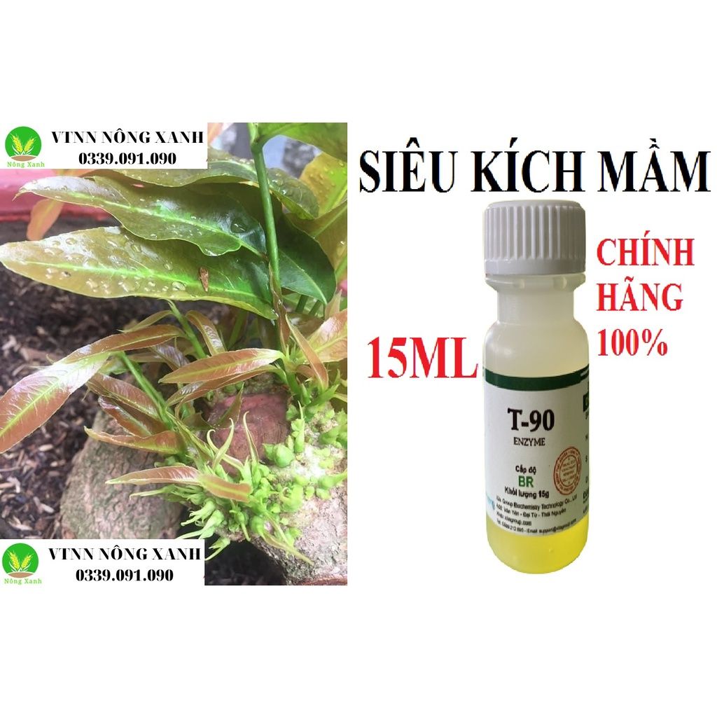 Kích mầm T90 cam kết hiệu quả 100%, bôi ở đâu bật mầm ở đó