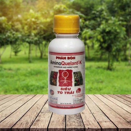 AminoQuelant - K ( Kali ) SIÊU TO TRÁI Chai 100ml - Siêu To Trái Bổ Sung Kali Cho Cây