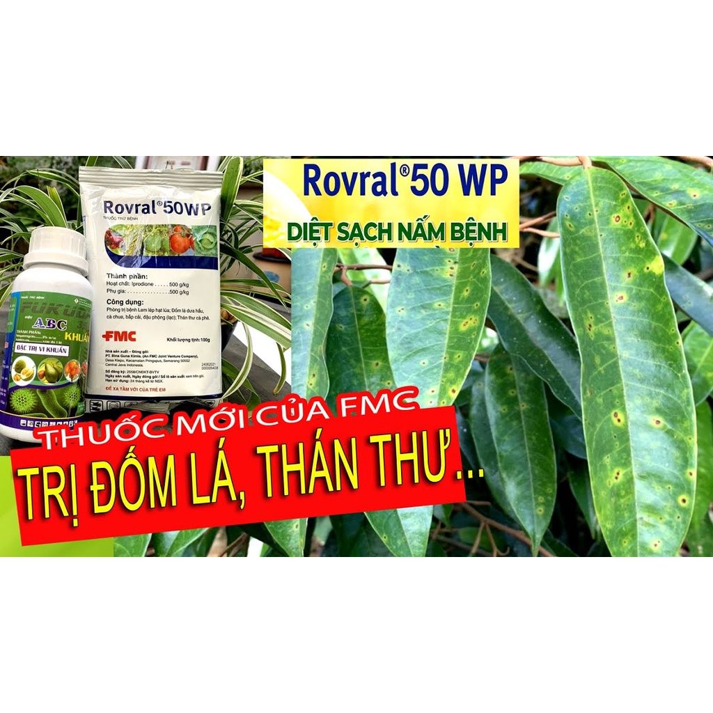 Trừ bệnh Rovral 50WP 25gr Đốm Lá - Thán Thư