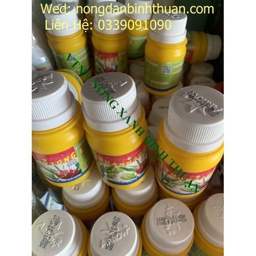 BÓNG TRÁI THANH LONG DÙNG CHO THANH LONG TRÁI - BÓNG TRÁI QUANG NÔNG