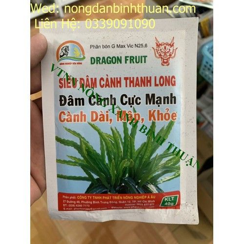 Kích chồi thanh long, siêu đâm cành thanh long - siêu đâm cành