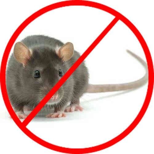 Thuốc Diệt Chuột VIFARAT 0.005%AB (gói 10 viên), thuốc diệt chuột dạng bả viên