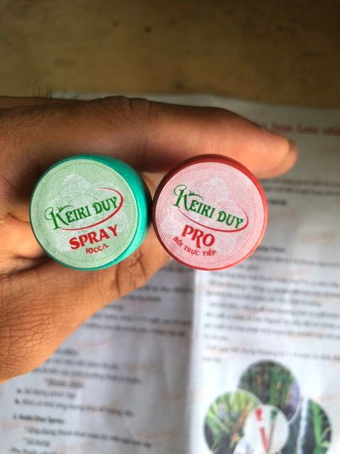 Keiki Duy xanh và Keiki duy đỏ chuyên dùng cho hoa lan