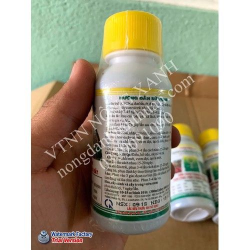Phân bón lá Amino - sắt Amino Quelant -Fe - chống vàng Lá