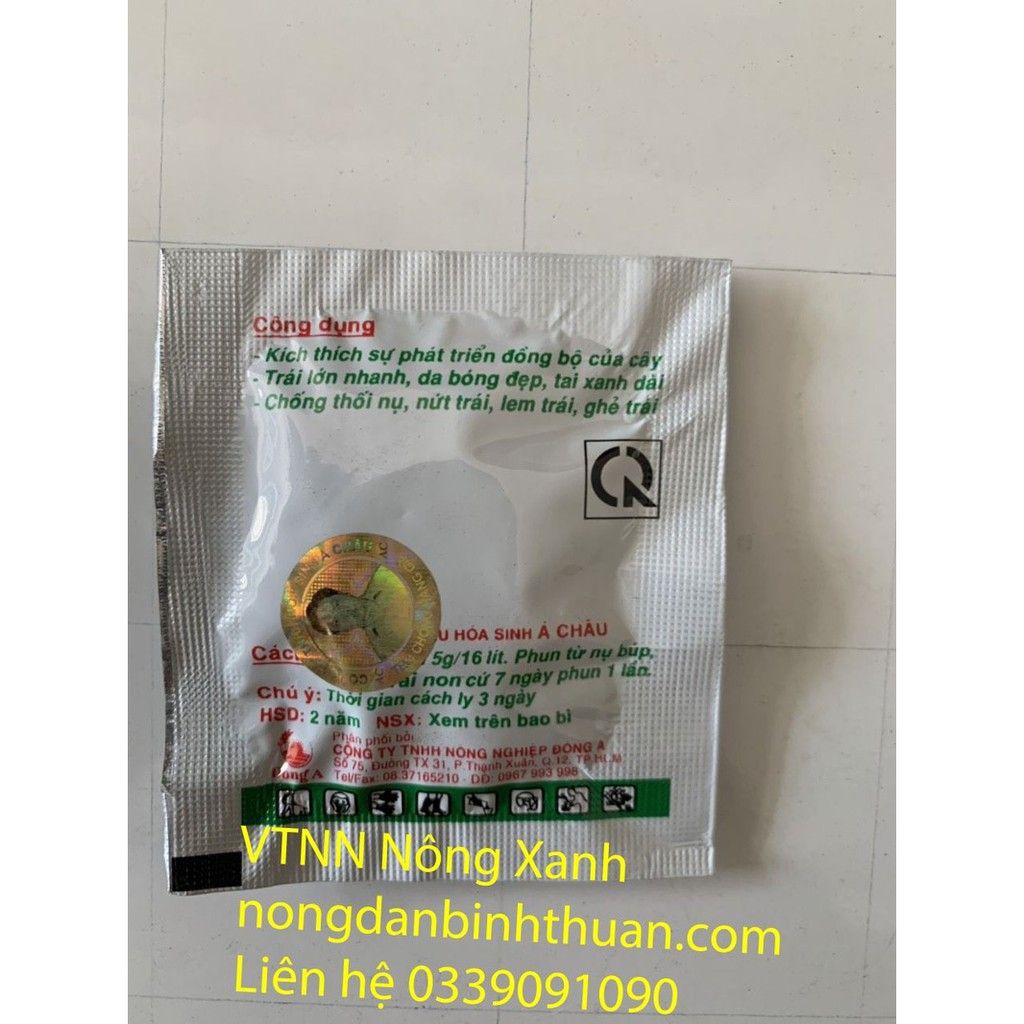 Siêu To Đẹp Trái Thanh long Viên sủi - Viên Ó Đỏ