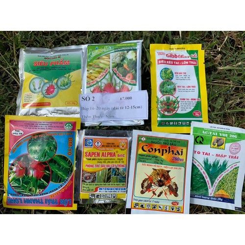 Bài Thuốc Xịt Búp Thanh Long giúp búp to và mập, Bài 1 Xịt Búp Trái Cau - bài số 1 xịt búp trái cau