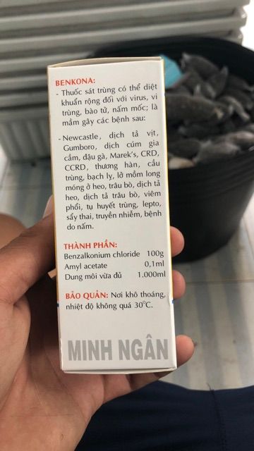 Benkona 100ml sát khuẩn - SÁT KHUẨN GIÁ THỂ TRỒNG LAN