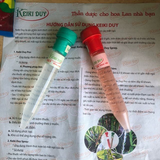 Keiki Duy xanh và Keiki duy đỏ chuyên dùng cho hoa lan