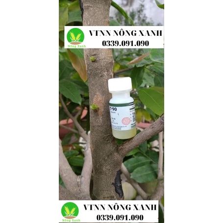 Kích mầm T90 15ml, chiết xuất mầm gạo, giàu Auxin, bật mầm tua tủa, hoa hồng, lan, cây cảnh, hiệu quả sau 5 ngày
