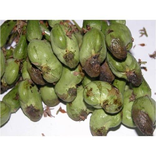 Đặc trị Thán thư Nho, xoài, điều, thanh long, ca cao NATIVO 750WG 4 GÓI - 4 GÓI NATIVO
