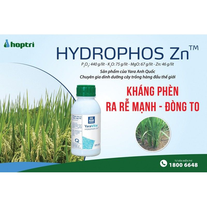 Phân Bón Hợp Trí Hydrophos 500ML Giúp TĂNG PHÂN HÓA MẦM HOA KHÁNG PHÈN MẶN