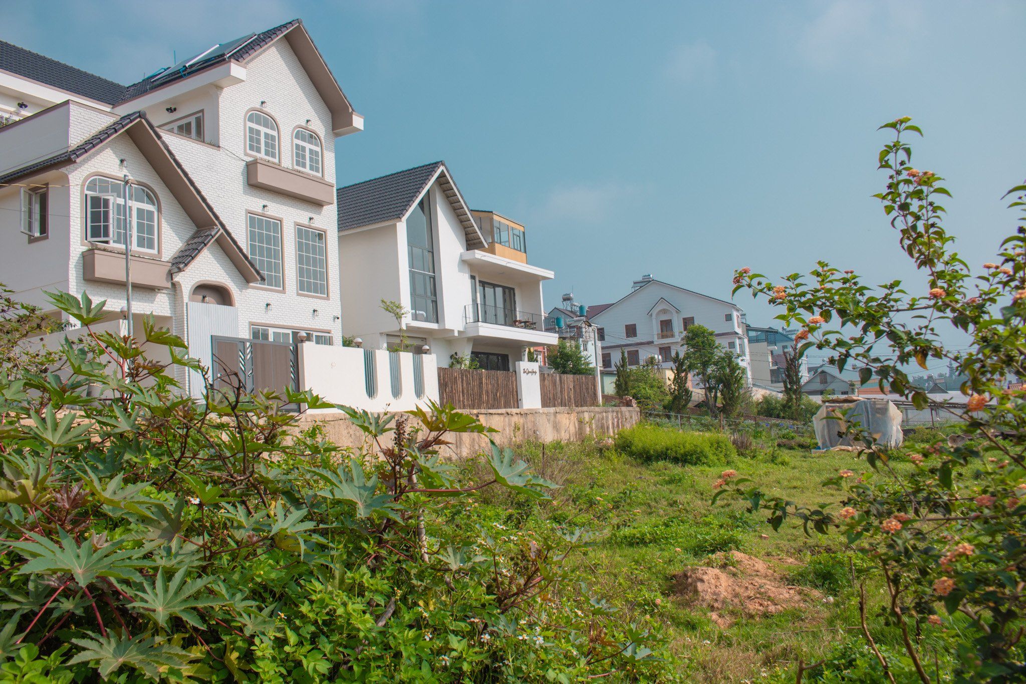 Green Villa