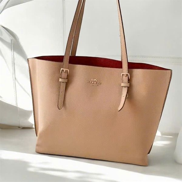 Túi Coach Mollie Tote Bag DS Cream