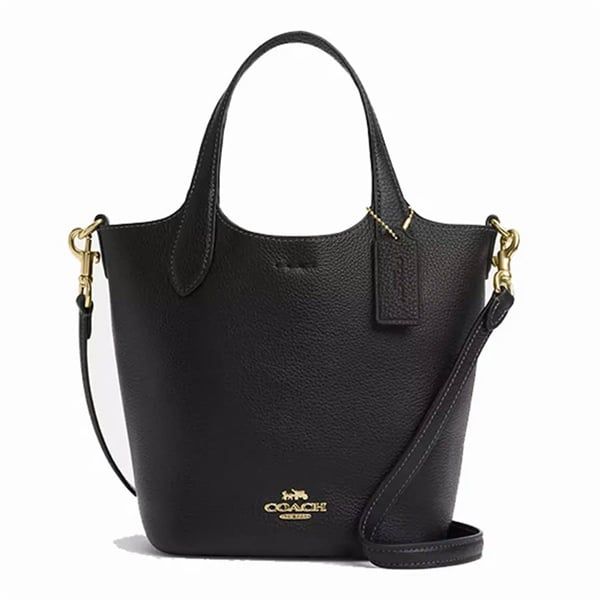 Túi Coach Hanna Buck DS Black