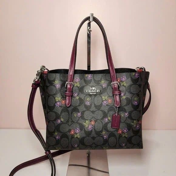 Túi Coach Mollie Tote 25 Signature Canvas W/Country Floral DS Black