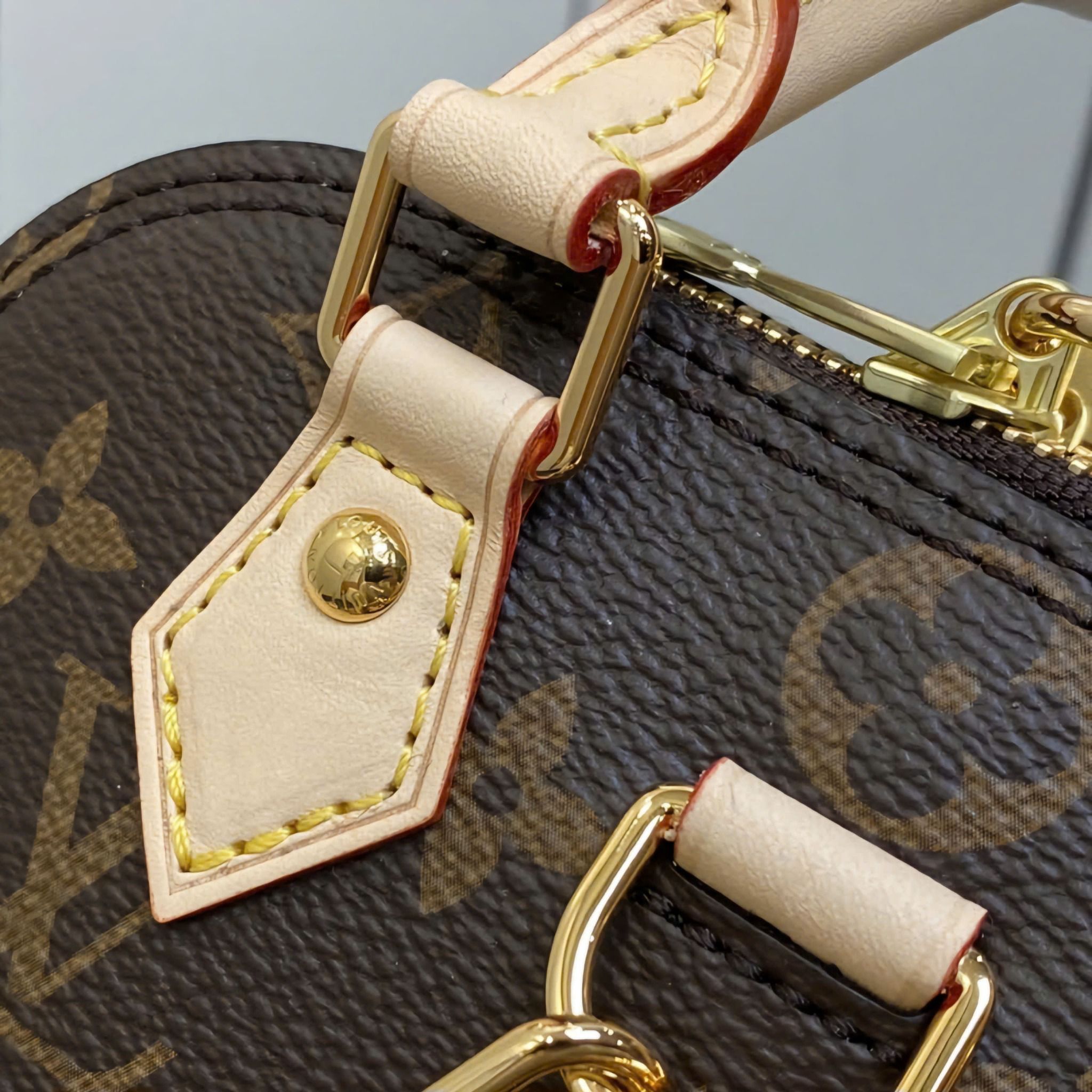 Balo LV Alma Monogram Canvas DS Brown