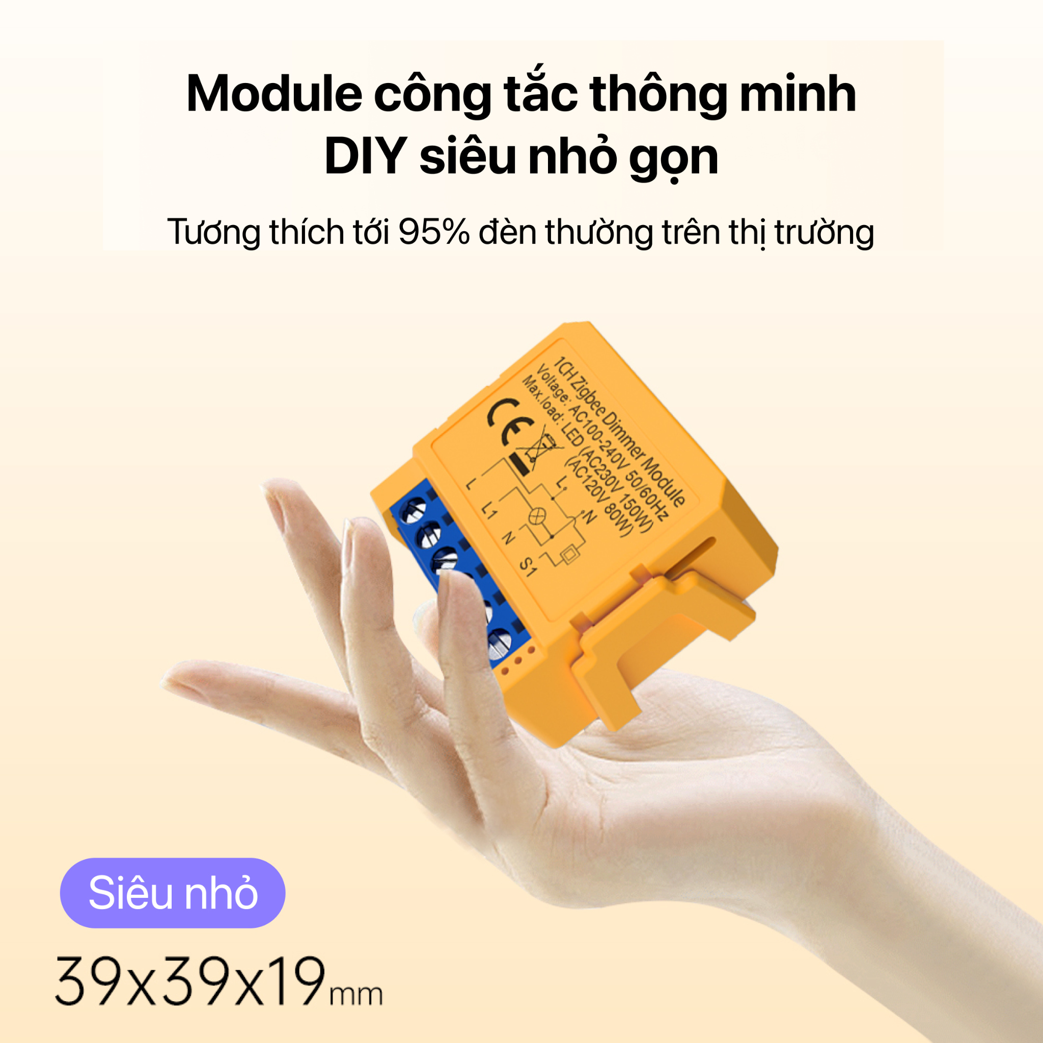 Module Dimmer Đèn AC-AC 80W