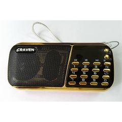 ** Loa Craven CR853