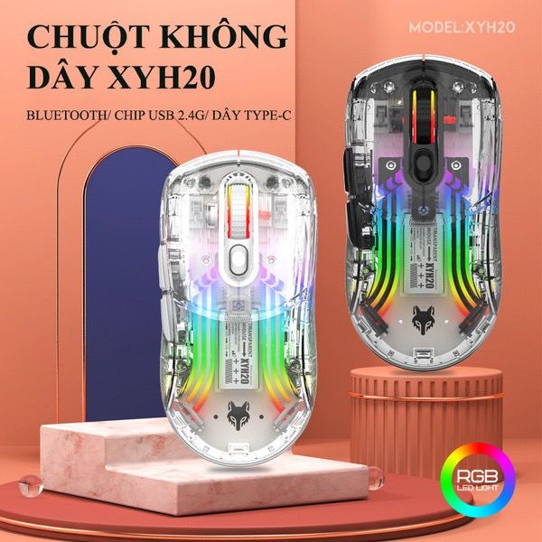 Chuột không dây + BT Xunfox XYH20 trong suốt