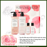  Bộ Sữa Tắm Và Sữa Dưỡng Thể Hương Nước Hoa Hồng Lưu Hương Lâu THEFACESHOP PERFUME SEED SPECIAL BODY SET (4pcs) 