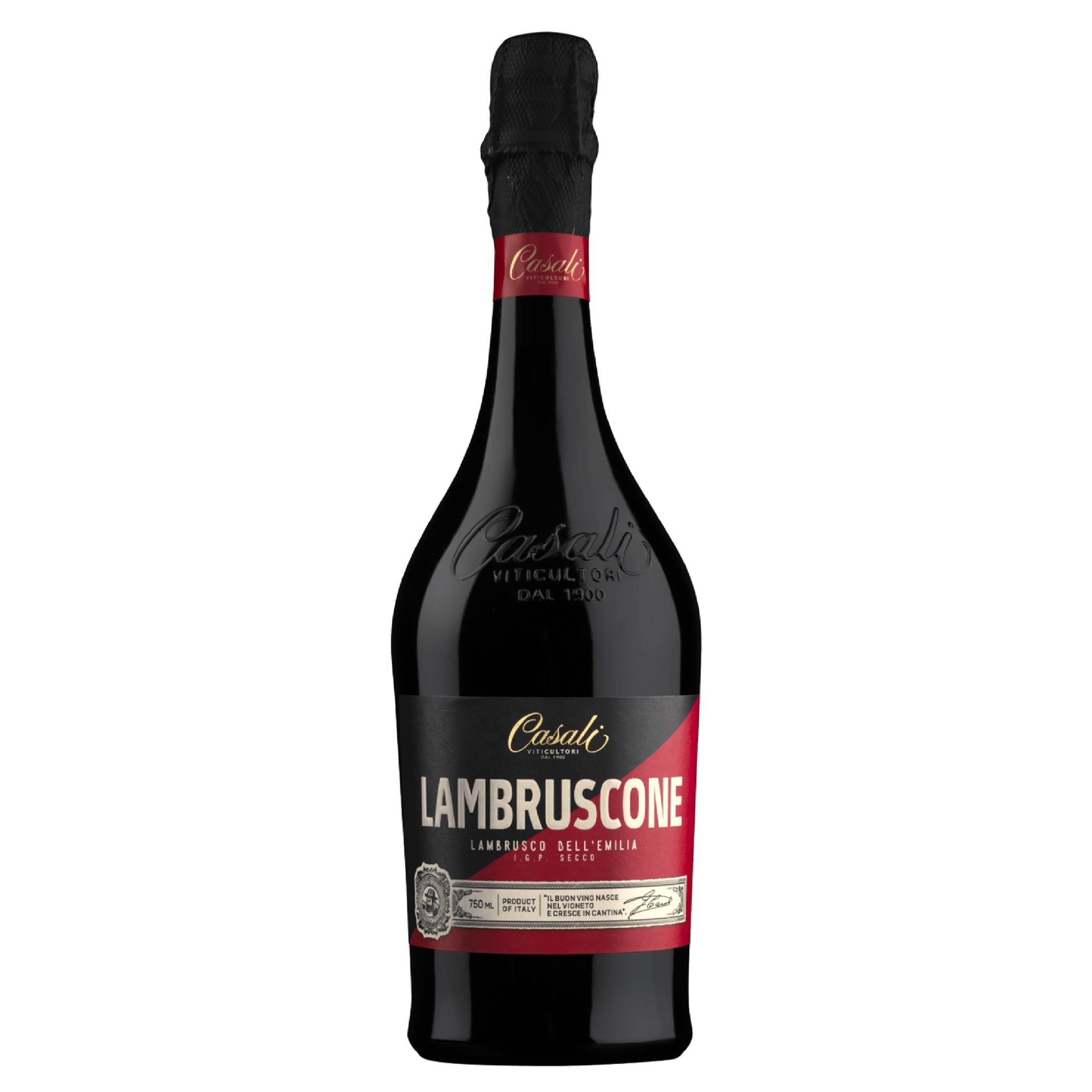 Lambruscone Dry