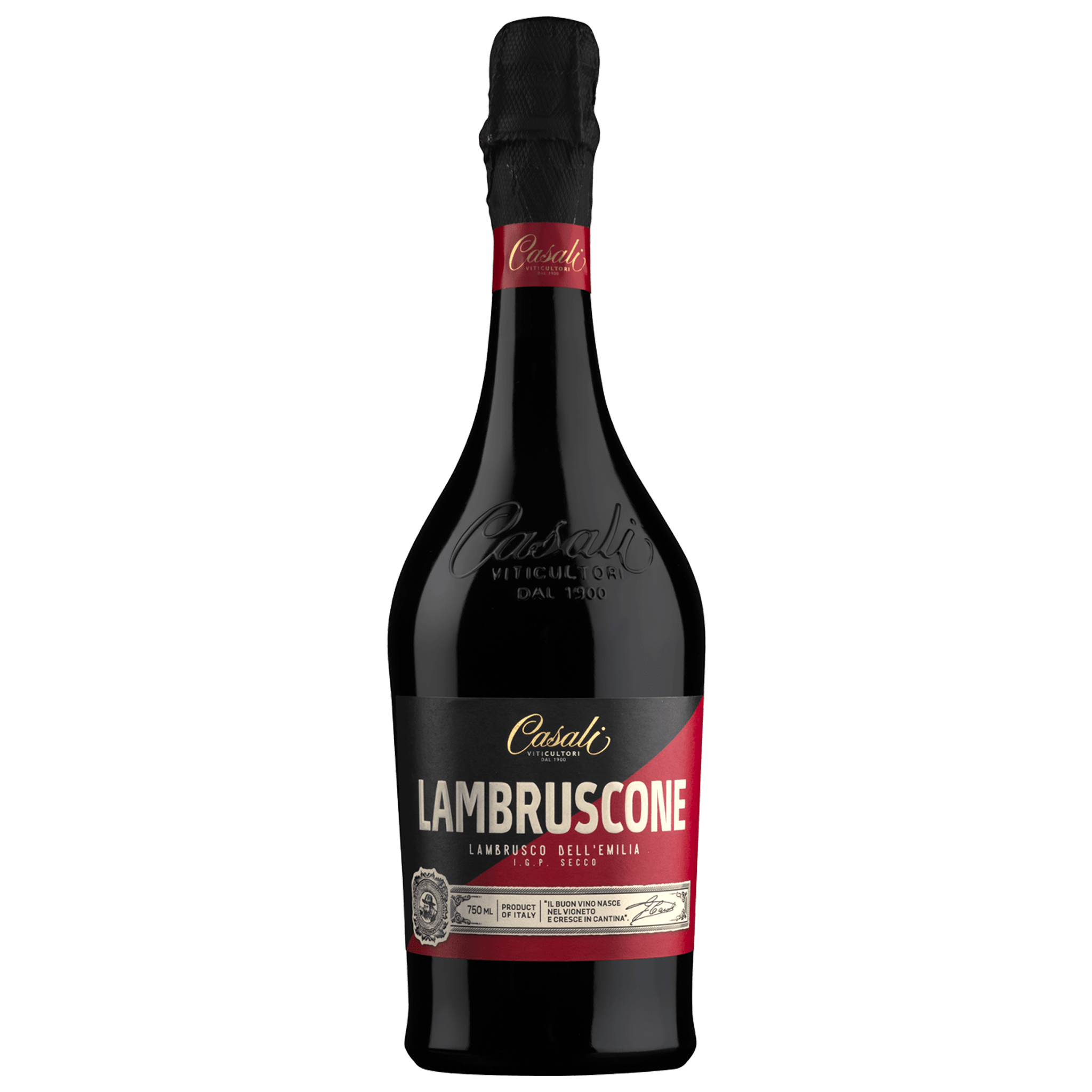 Lambruscone