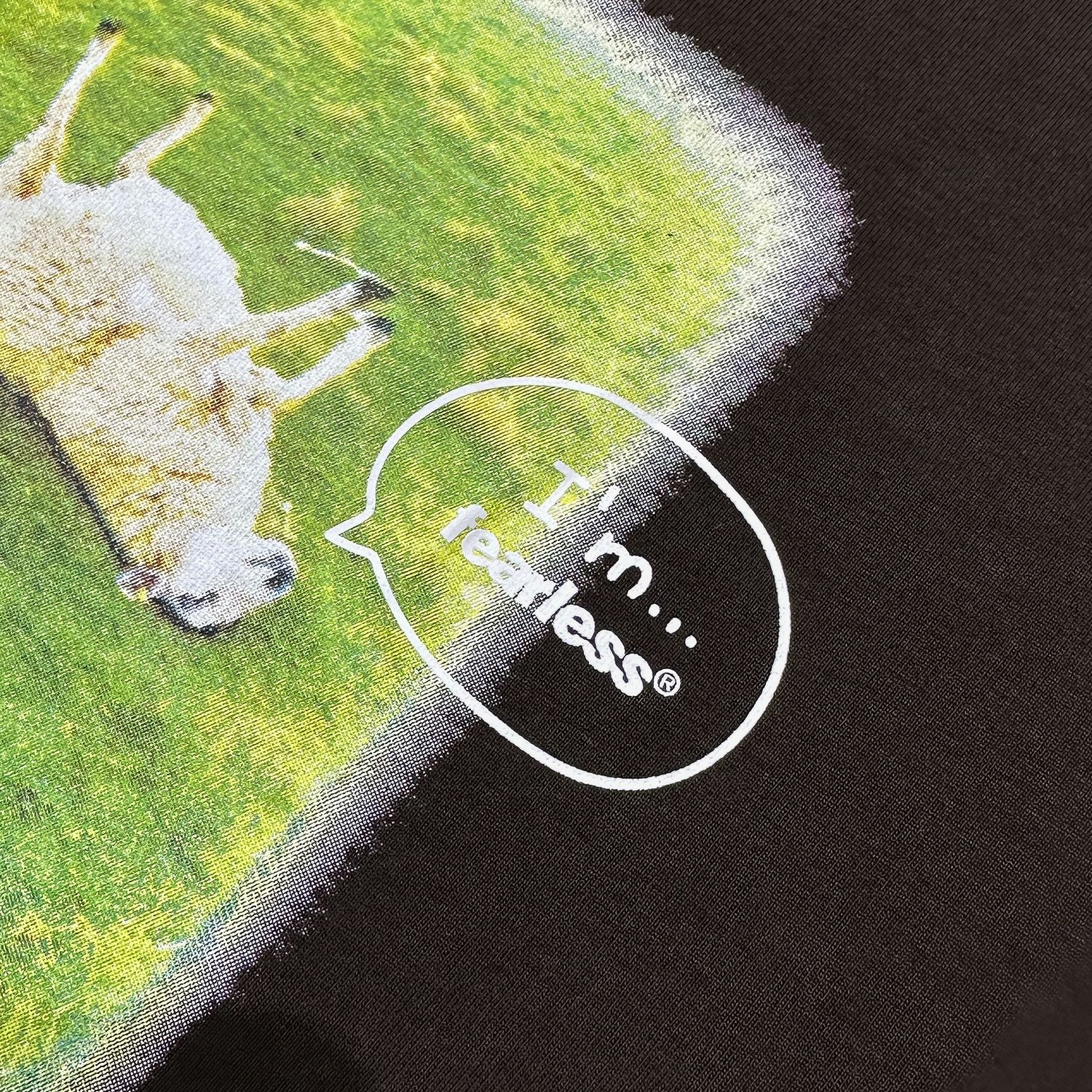 FEARLESS sheep baby tee