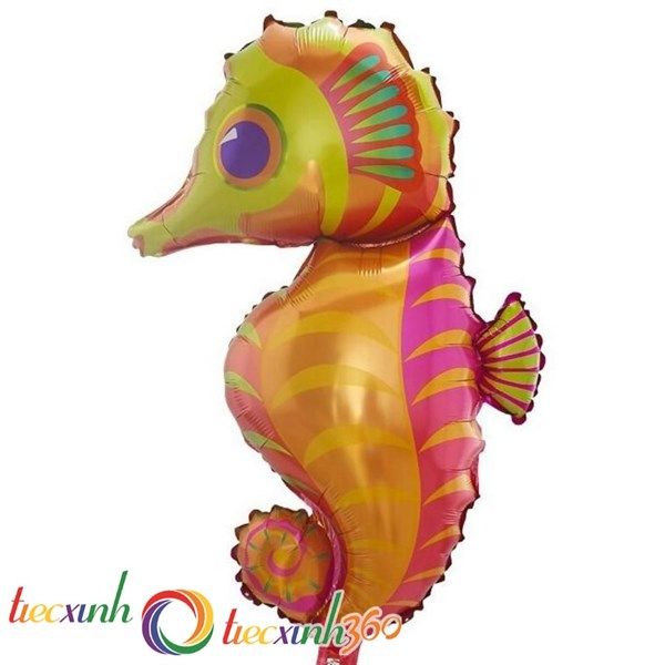 Bong bóng Động vật biển size lớn - Cá ngựa