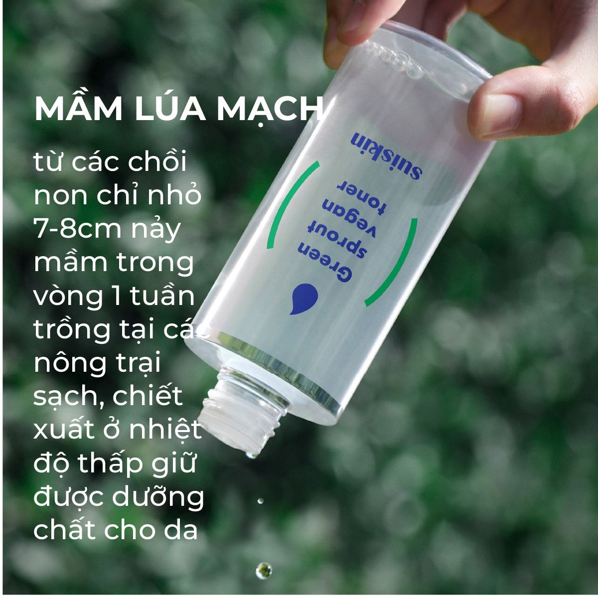 Toner Nước Mầm Giữ Ẩm Tẩy Tế Bào Chết Ngăn Ngừa Mụn Suiskin Green Sprout Vegan