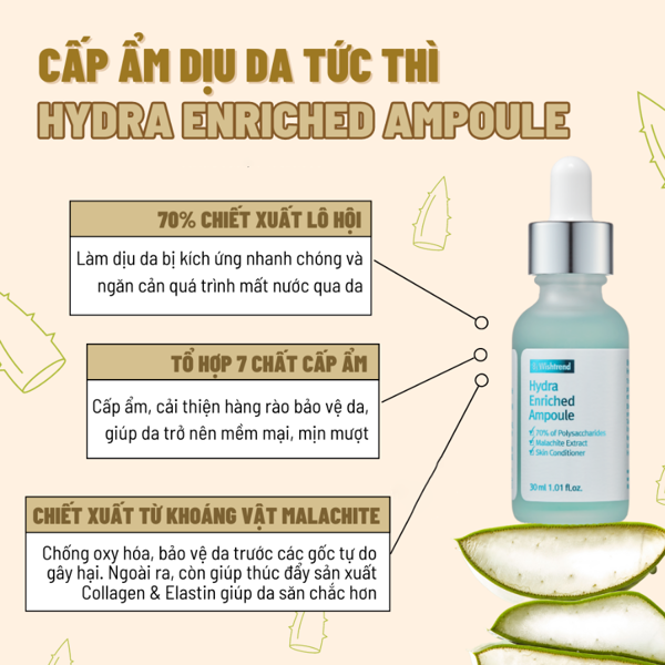 Tinh Chất Cấp ẩm, Phục Hồi Da By Wishtrend Hydra Enriched Ampoule 30ml