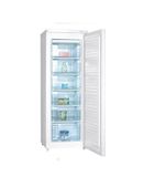 Tủ đông Alaska 210 lít IF 21