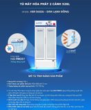 Tủ đông Funiki Hoà Phát 723 lít HSR D6723