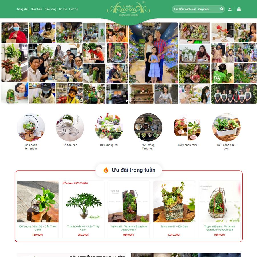  Theme Wordpress Bán Cây Xanh Terrarium 