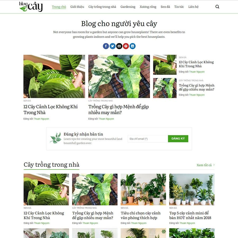  Theme Wordpress Tin Tức 18 