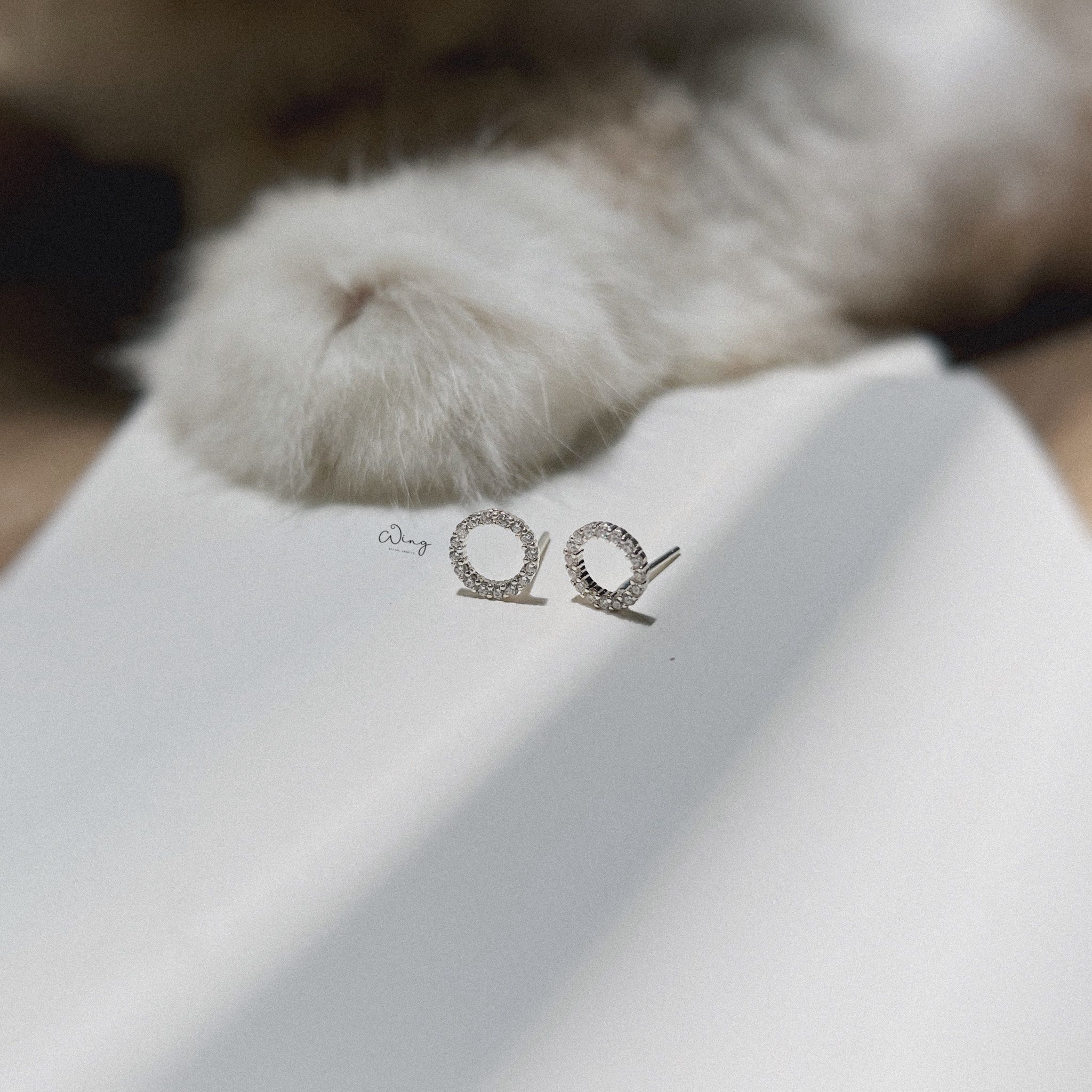 Khuyên Tai Đá Viền Tròn Rỗng 8mm (Đôi)