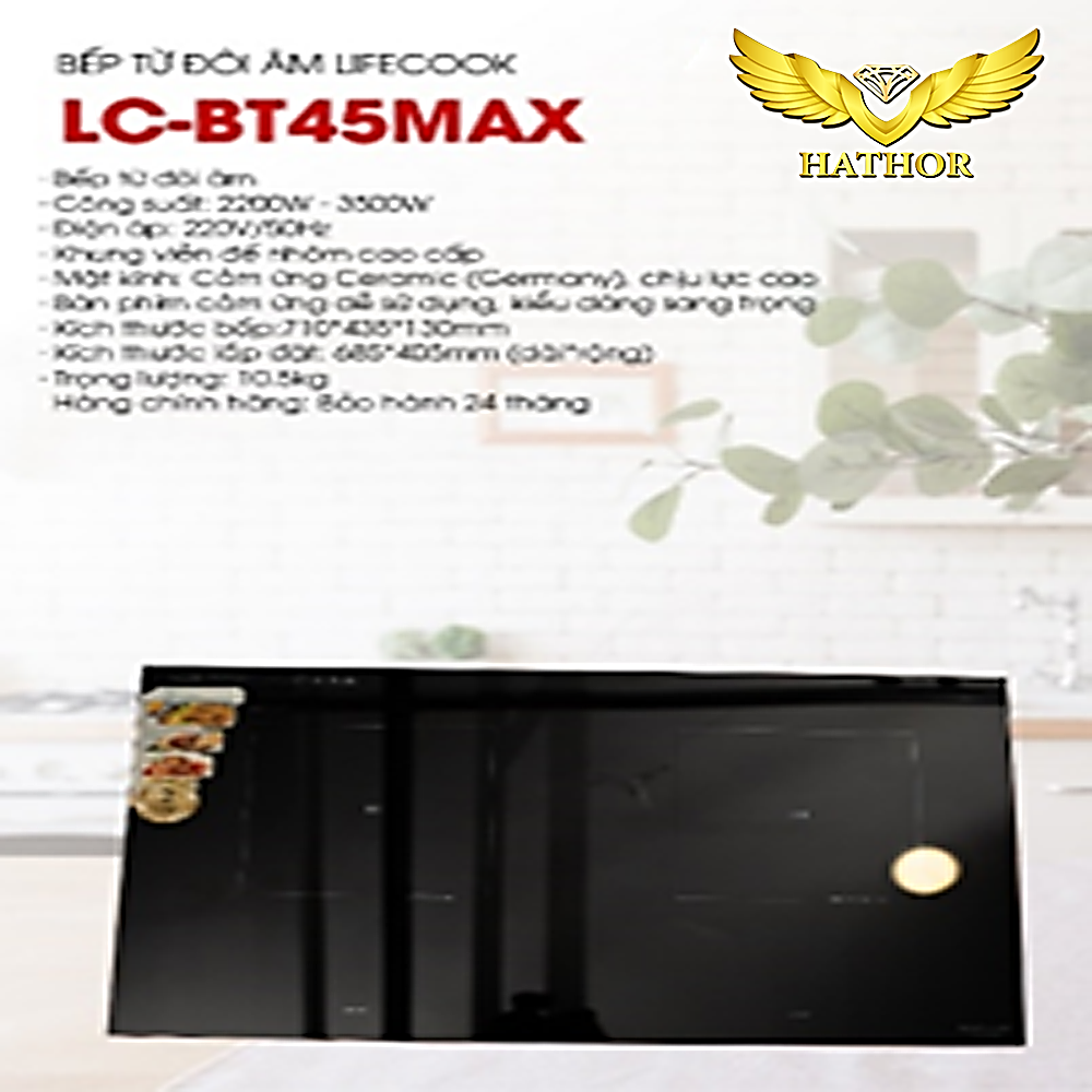 Bếp từ đôi âm Lifecook