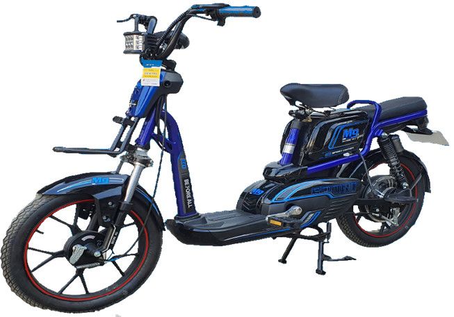 Xe đạp điện M9