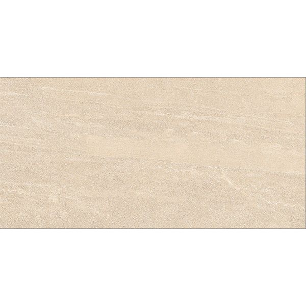 Gạch ốp lát Đồng Tâm 3060SAHARA
