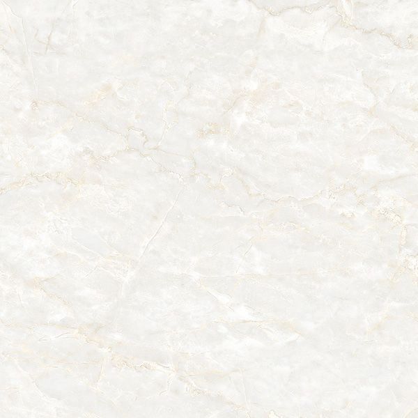 Gạch lát nền Đồng Tâm 8080FASIPAN002