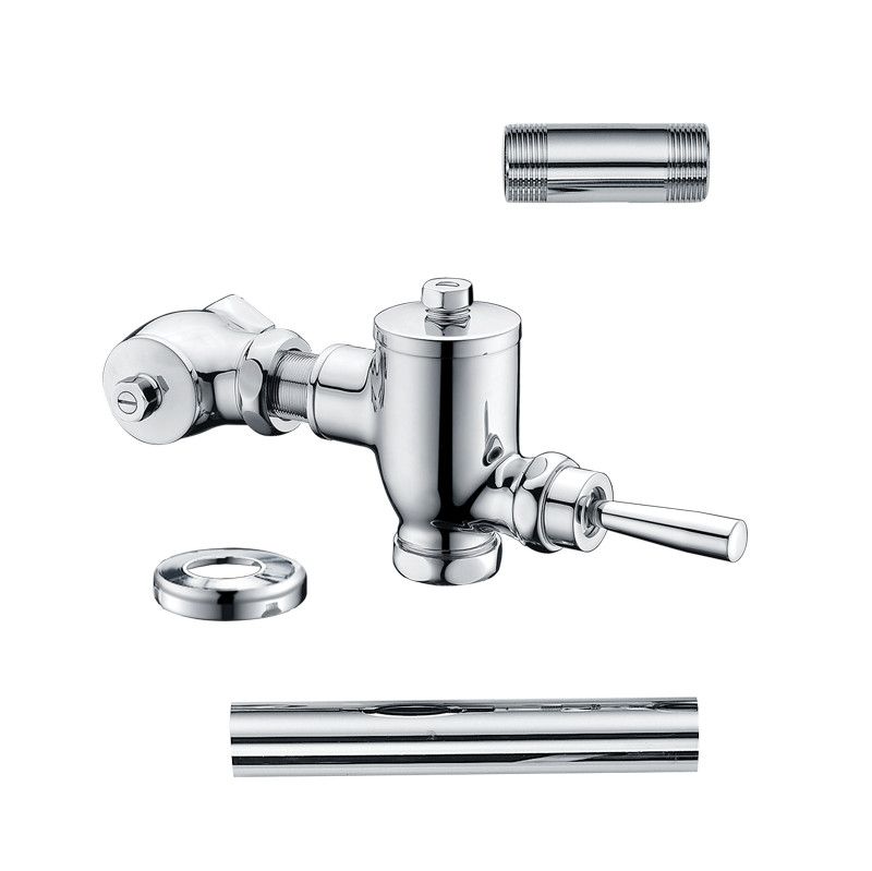 Bộ xả gạt tay bàn cầu xổm Caesar BF521A