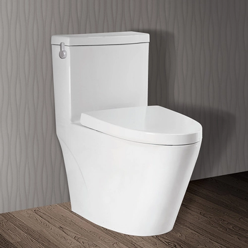 Bàn cầu Ceravi C509