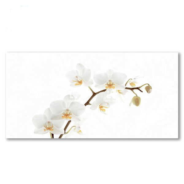 Gạch ốp tường Đồng Tâm D4080ORCHID001