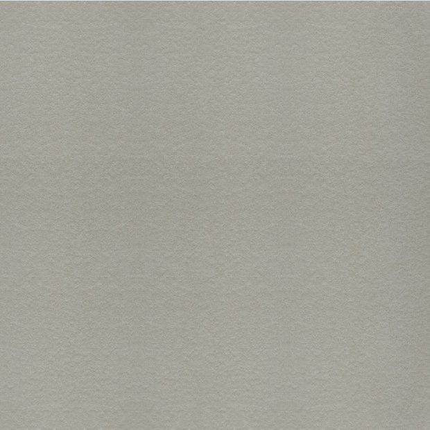 Gạch Taicera G68548