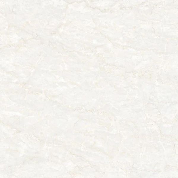 Gạch lát nền Đồng Tâm 60x60 TRUONGSON