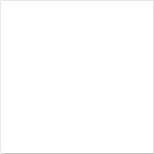 Gạch Đồng Tâm 100ROME002-H+