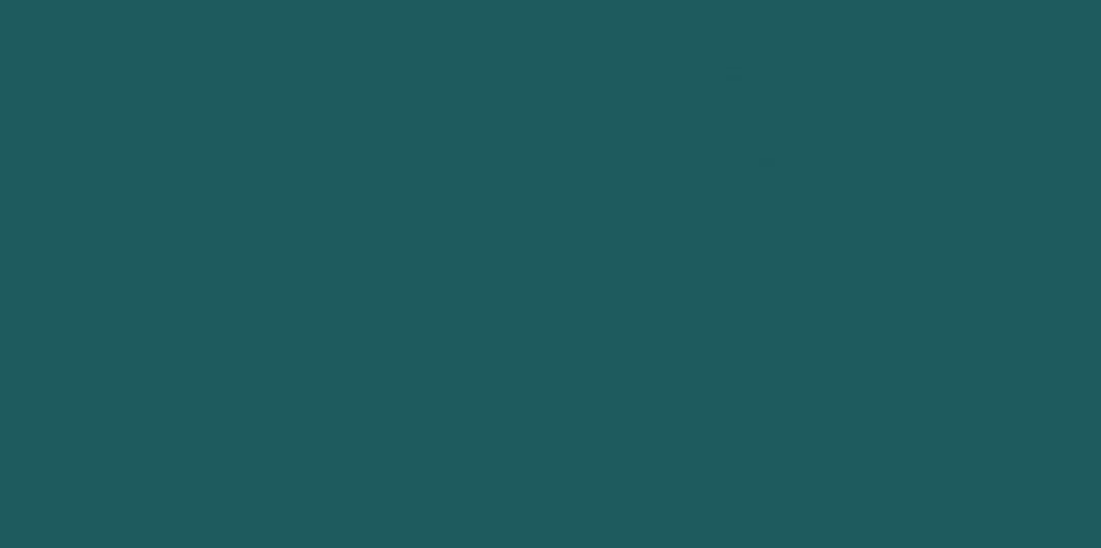 Gạch ốp tường Đồng Tâm 1020COLOUR màu tối
