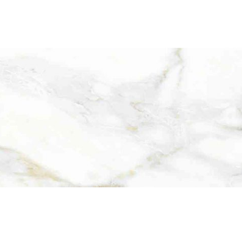 Gạch ốp lát Đồng Tâm 3060GECKO