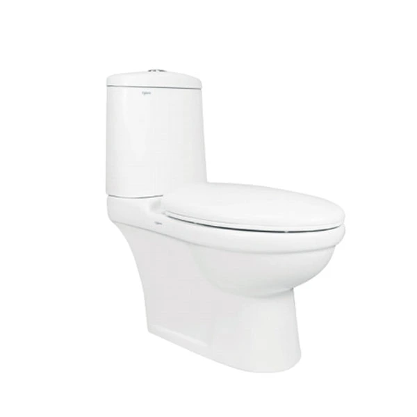 Bàn cầu 2 khối Viglacera VI107